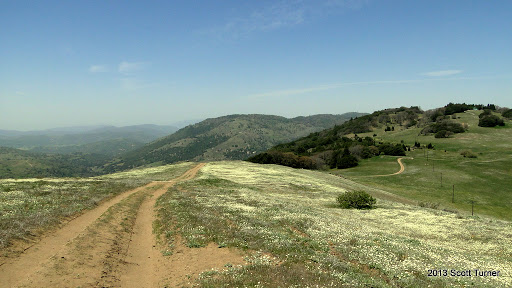 The Best Hikes in San Diego