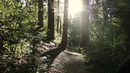 Doane Valley Nature Trail