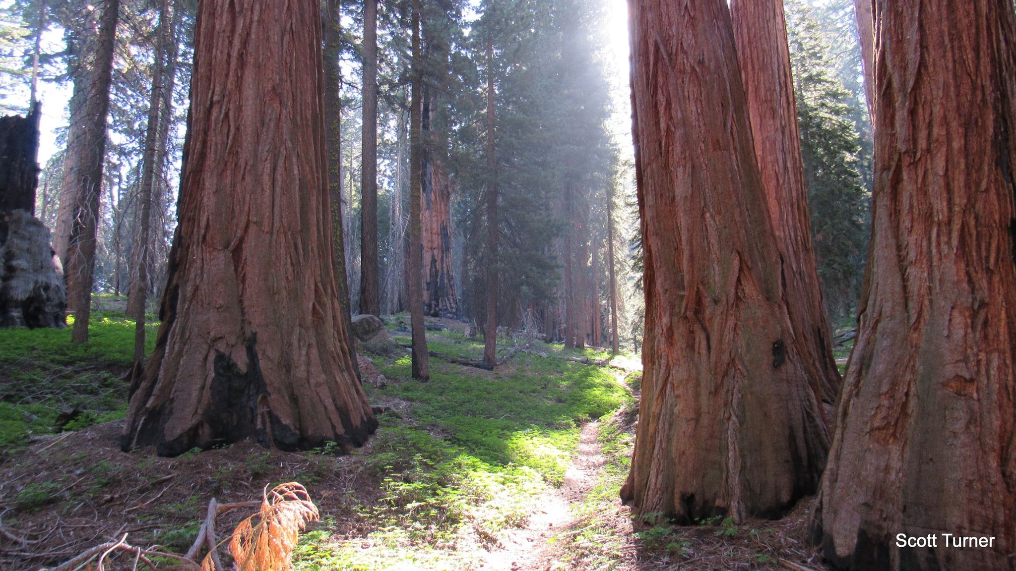 13443194_10157159755215226_8498565638739583060_o