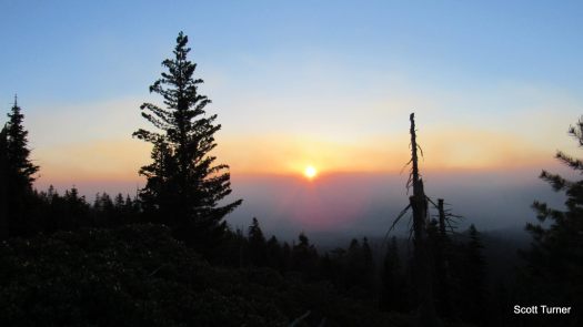 13475176_10157159751110226_2434420190383352577_o