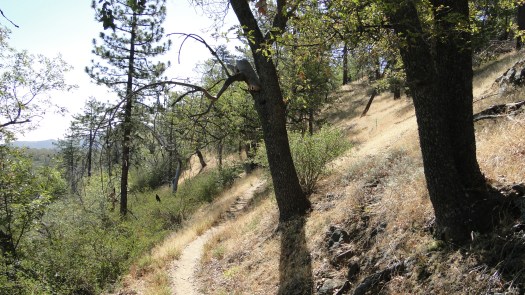 Noble Canyon Trail